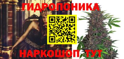 твердый Волжск