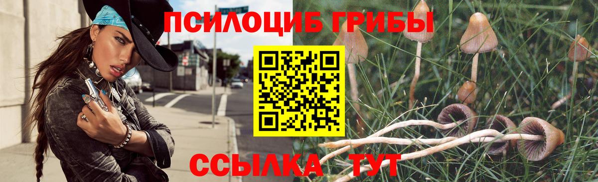 Галлюциногенные грибы MAGIC MUSHROOMS  Вход с VPN  Искитим  Галлюциногенные грибы Magic Shrooms 