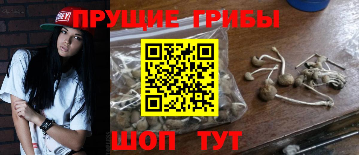 Галлюциногенные грибы мицелий Искитим